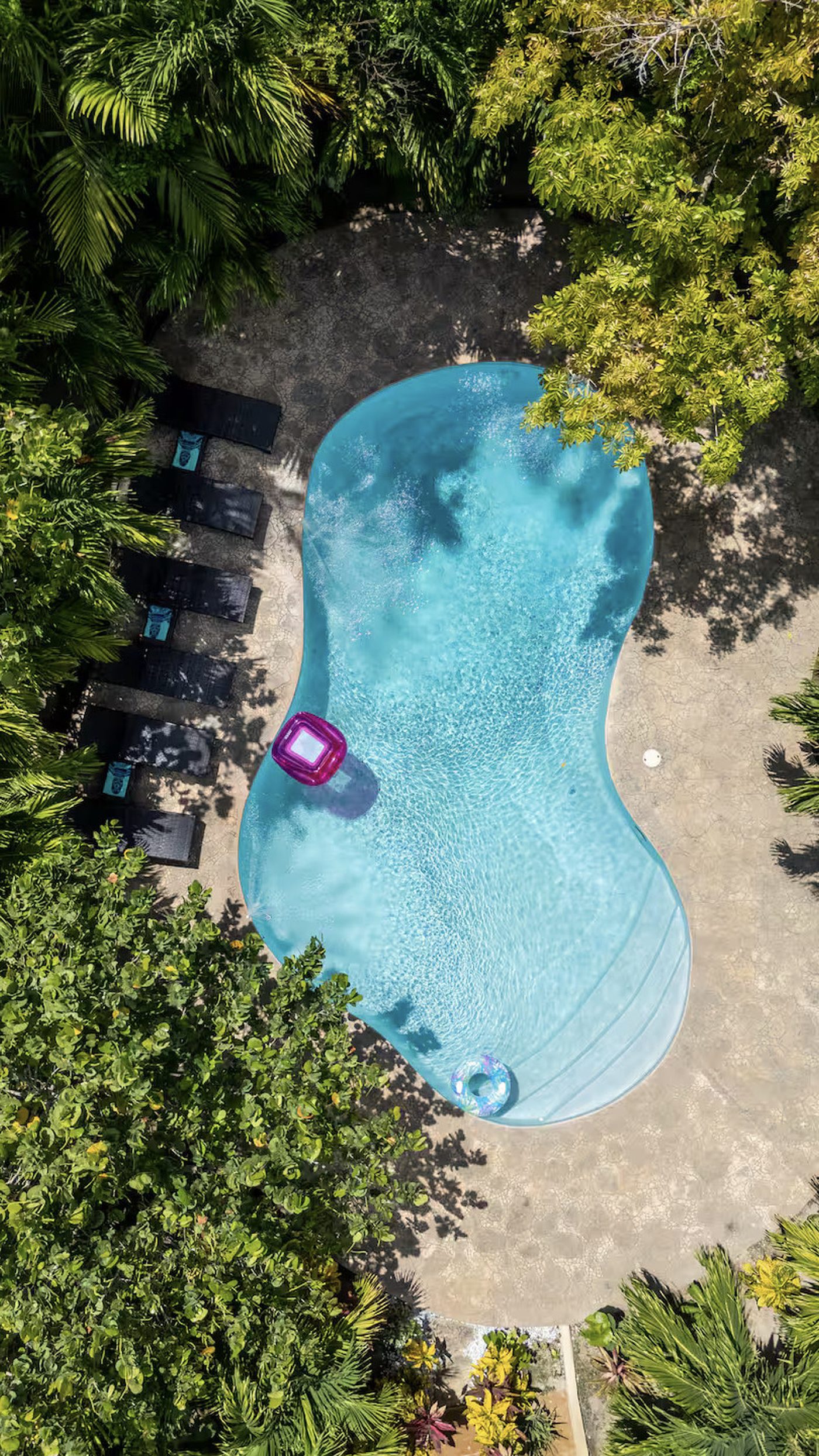 Private Pool and Tropical Gardens