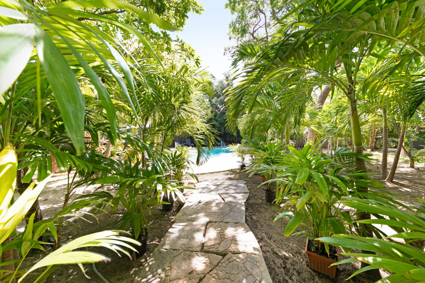 Garden Walkways